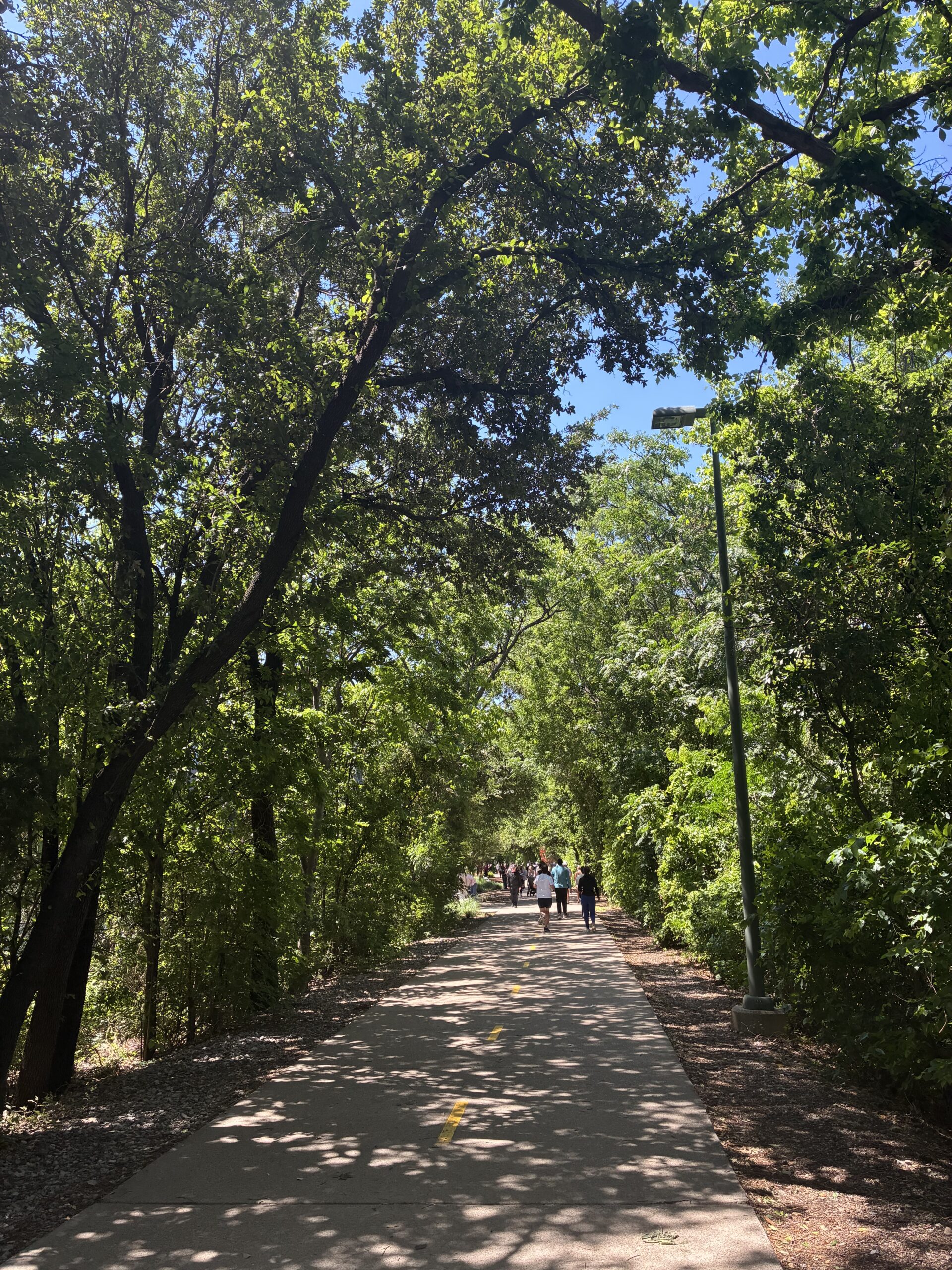 理想の環境で見えてきたもの